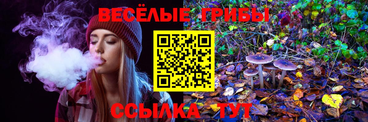 Галлюциногенные грибы мухоморы Нерюнгри